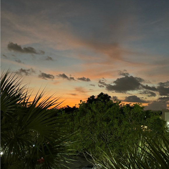 Meet your Posher, Amy - Picture 1 of 1